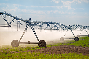 Irrigation Sprinklers